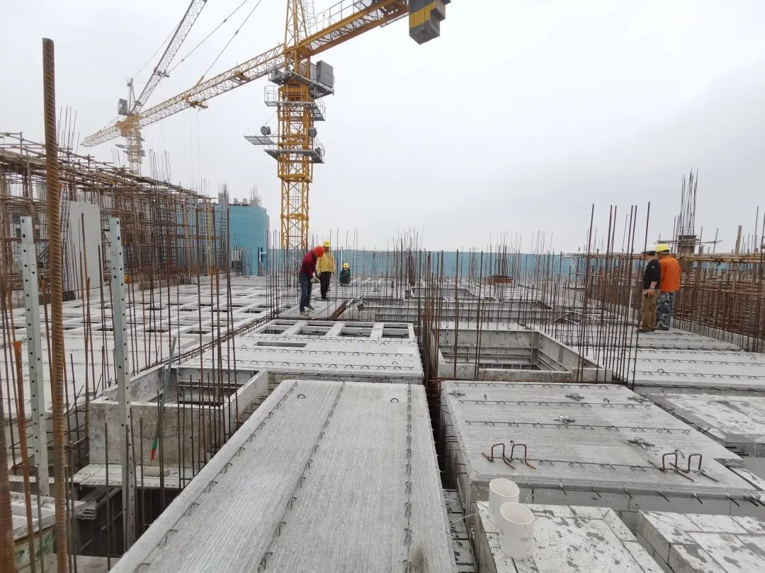 1652756529996162.jpg 1.jpg